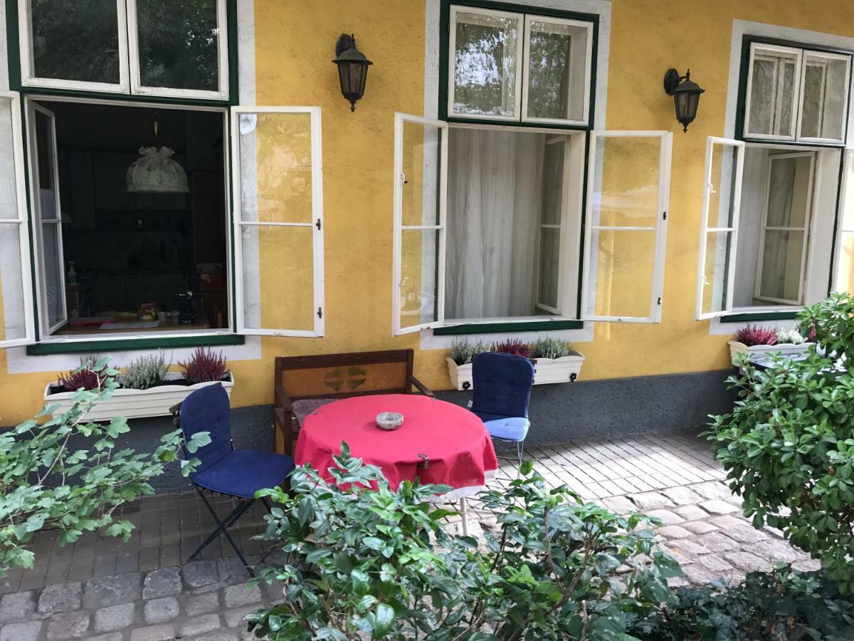 70M² Grosses Apartment Mit Gartenzugang Viyana Dış mekan fotoğraf
